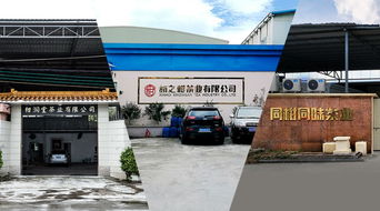 柑普茶在中部地區(qū)持續(xù)受捧,產(chǎn)品力成區(qū)域市場開拓的最有力武器