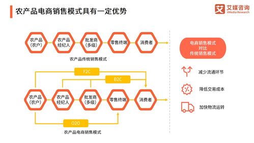 2021年中國農產品電商發(fā)展報告 產業(yè)升級與投資機遇分析