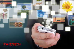 2017高考專業(yè)解讀 計算機專業(yè)前景展望——網(wǎng)絡(luò)與信息安全與軟件開發(fā)方向